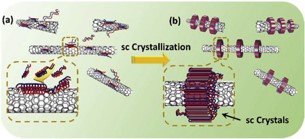 Preferential formation of stereocomplex in high-molecular-weight polylactic acid racemic blend induced by carbon nanotubes