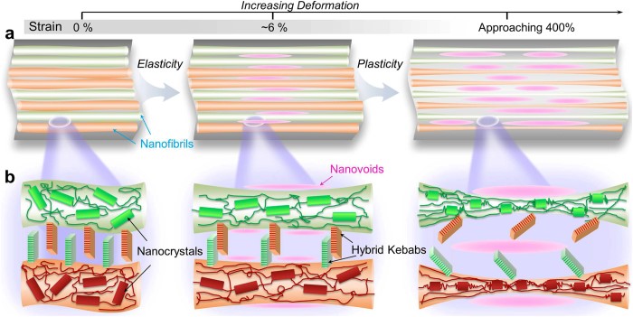  Biomimetic Nanofibrillation in Two-Component Biopolymer Blends with Structural Analogs to Spider Silk