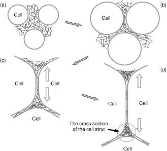 Ultralight conductive carbon-nanotube-polymer composite.