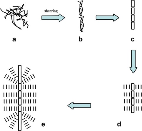 Shear-induced crystallization of poly(phenylerte sulfide)