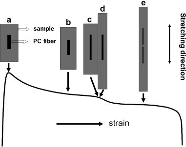 Double-yielding behavior in injection-molded polycarbonate/high-density polyethylene/ ethylene-vinyl acetate copolymer blends