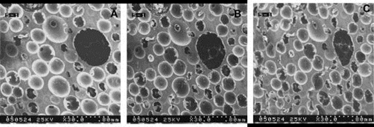 Morphology development of high-density rigid polyurethane foam upon compression by on-line scanning electronic microscope.