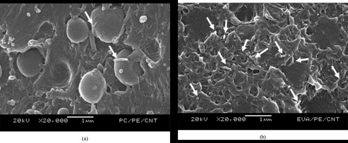 Carbon nanotubes can enhance phase dispersion in polymer blends.