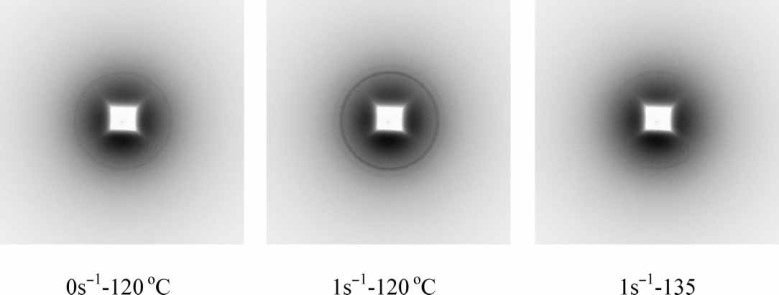  Steady-shear-induced isothermal crystallization of poly(L-lactide) (PLLA)