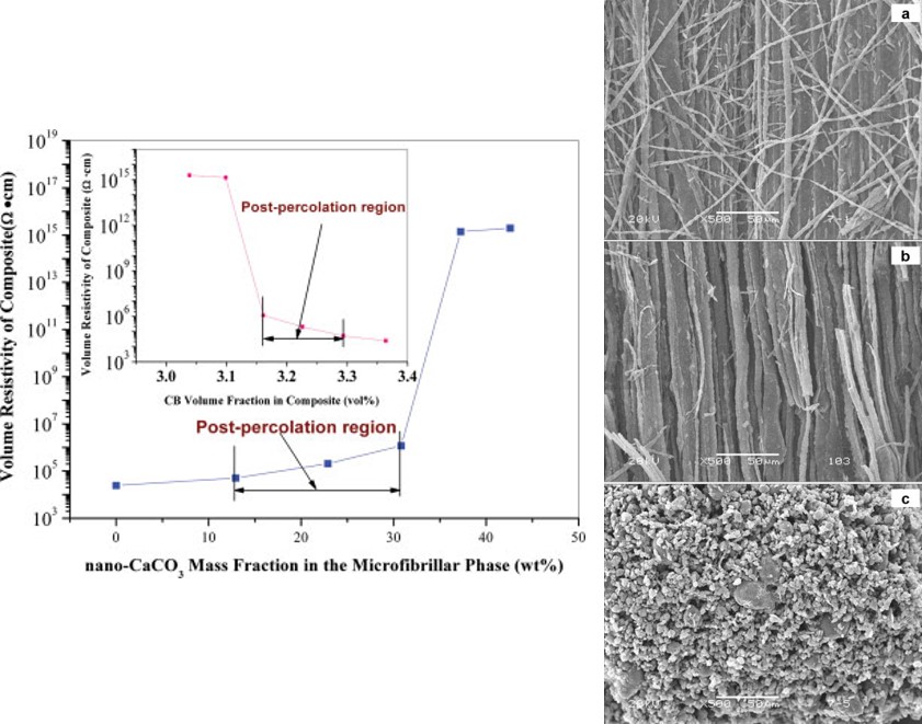 Manipulating the Conductivity of Carbon-Black-Filled Immiscible Polymer Composites by Insulating Nanoparticles