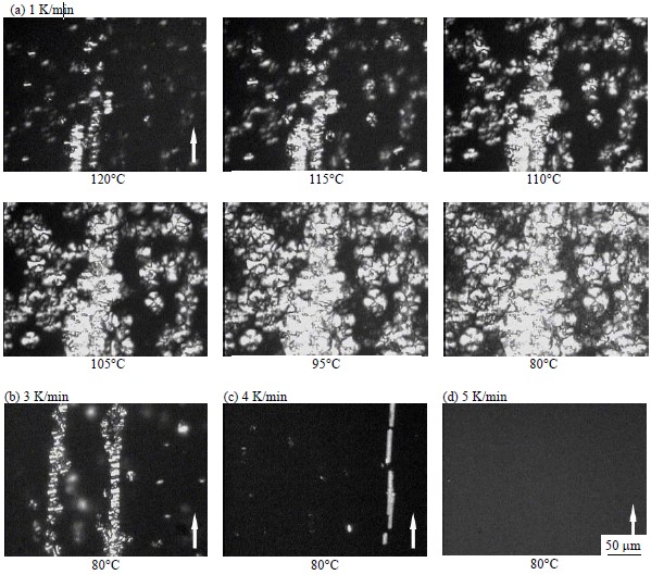 Non-isothermal crystallization of poly(l-lactide) (plla) under quiescent and steady shear conditions