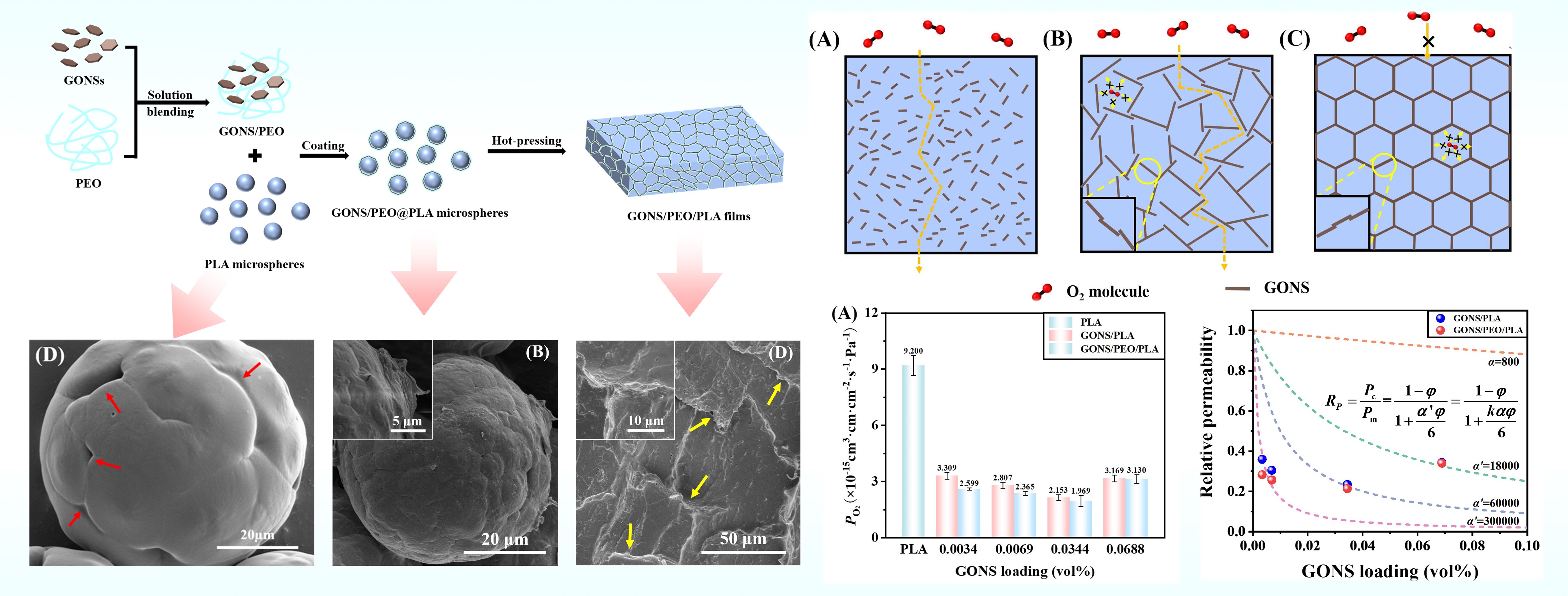 Highly efficient three-dimensional gas barrier network for biodegradable nanocomposite films at extremely low loading levels of graphene oxide nanosheets.