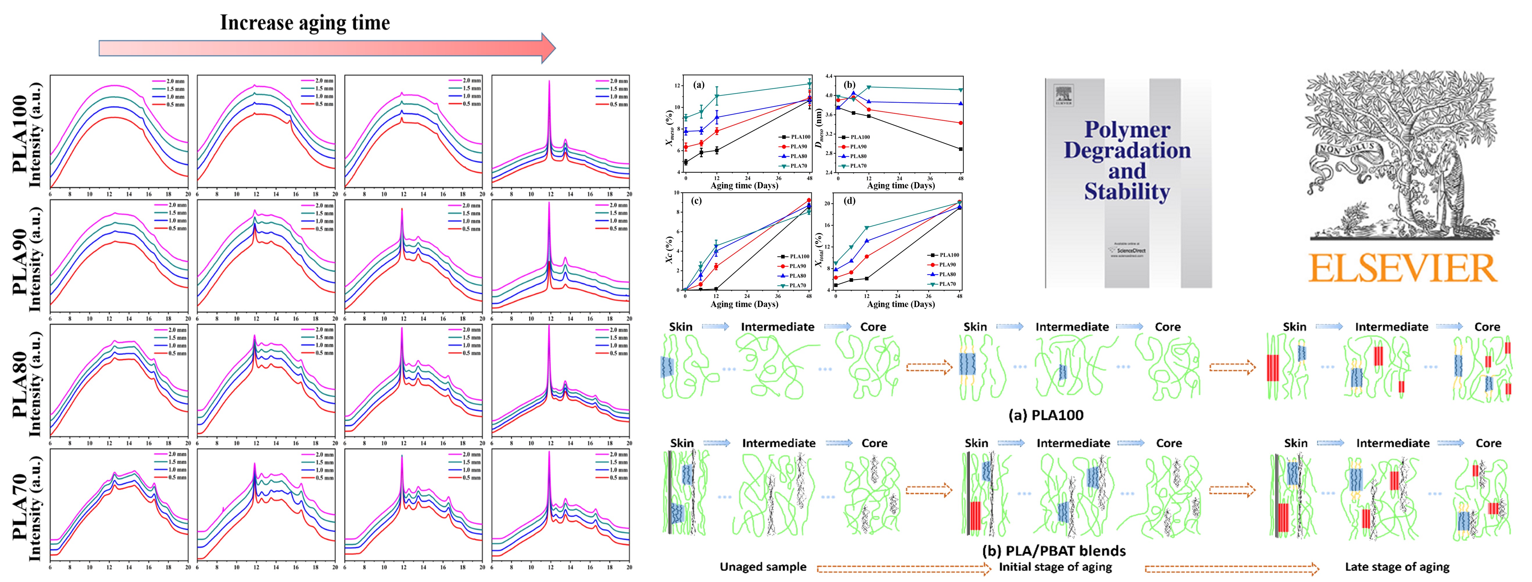 Spatial dependence of ordering process in bulk materials of polylactide and its multiple system during hygrothermal aging