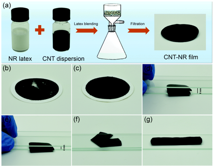 A strong and tough polymer-carbon nanotube film for flexible and efficient electromagnetic interference shielding.