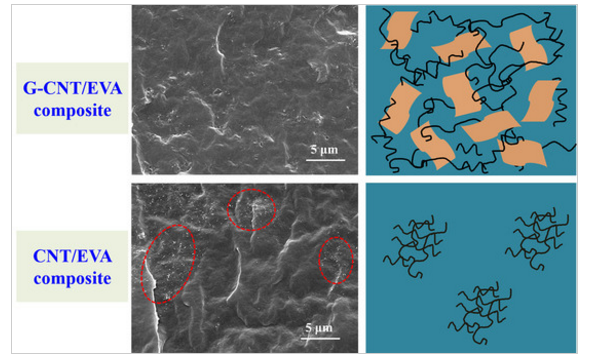 Octadecylamine-grafted graphene oxide helps the dispersion of carbon nanotubes in ethylene vinyl acetate.