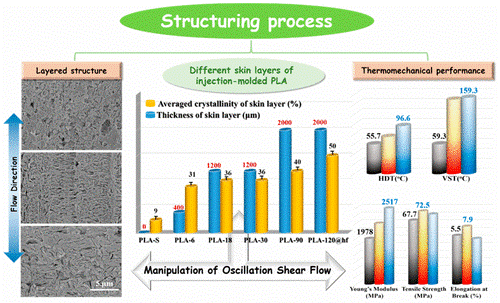 Gradient Structure of Crystalline Morphology in Injection-Molded Polylactide Parts Tuned by Oscillation Shear Flow and Its Influence on Thermomechanical Performance.