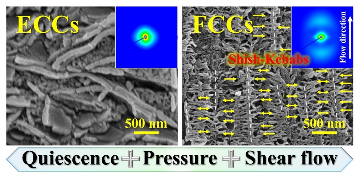 Oriented Polar Crystals in Poly(Vinylidene Fluoride) Produced by Simultaneously Applying Pressure and Flow.