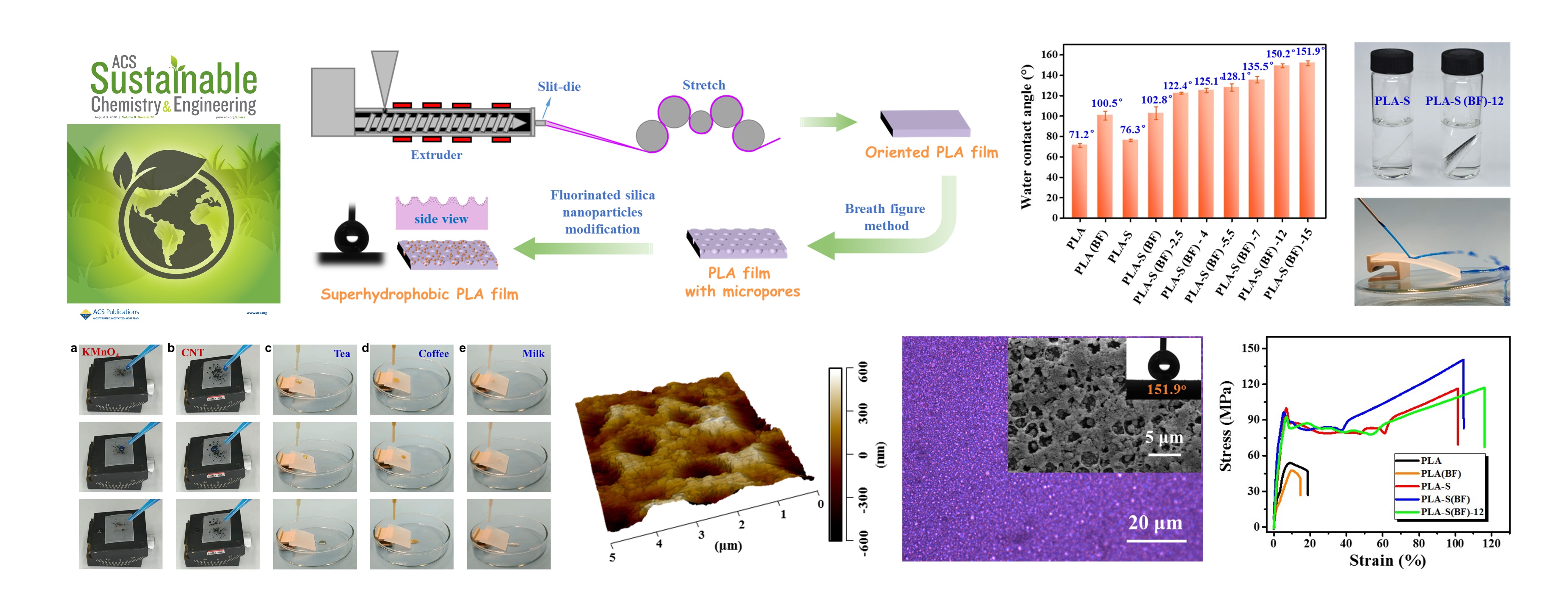 Superhydrophobic, self-cleaning and robust properties of an oriented polylactide imparted by surface structuring