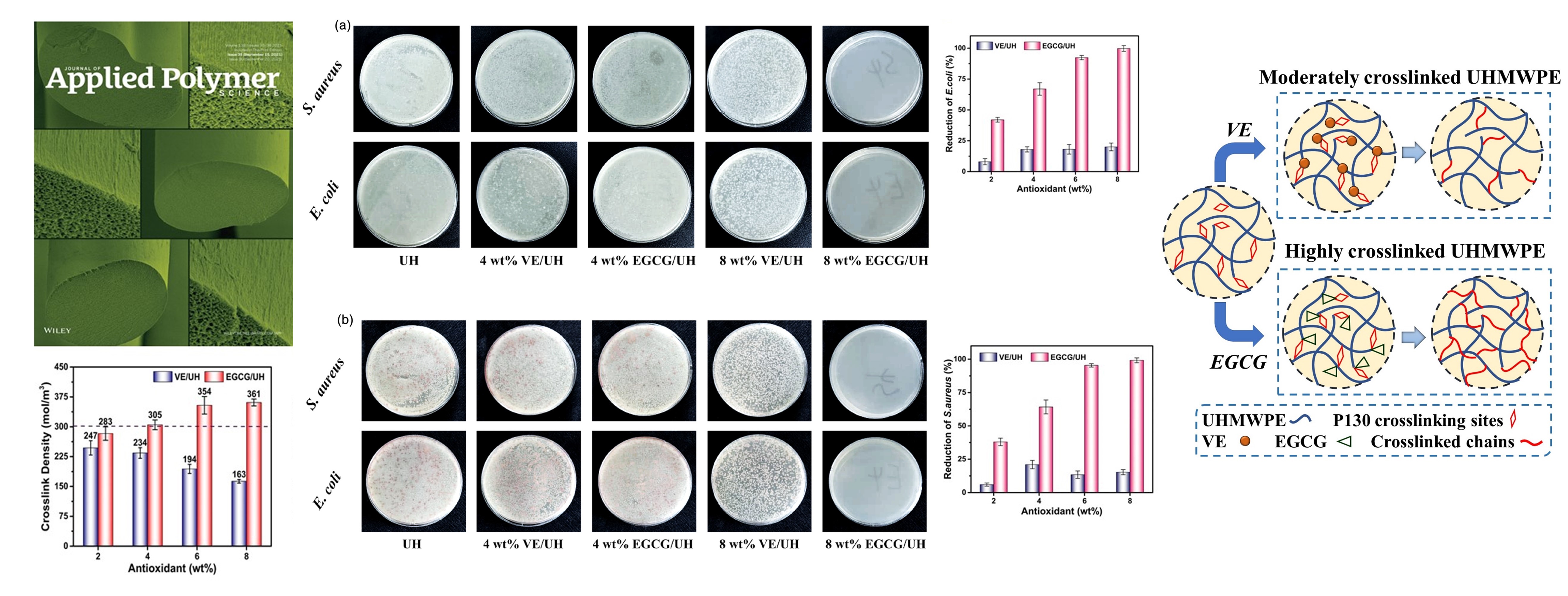 Ultrahigh molecular weight polyethylene with improved crosslink density, oxidation stability, and microbial inhibition by chemical crosslinking and tea polyphenols for total joint replacements