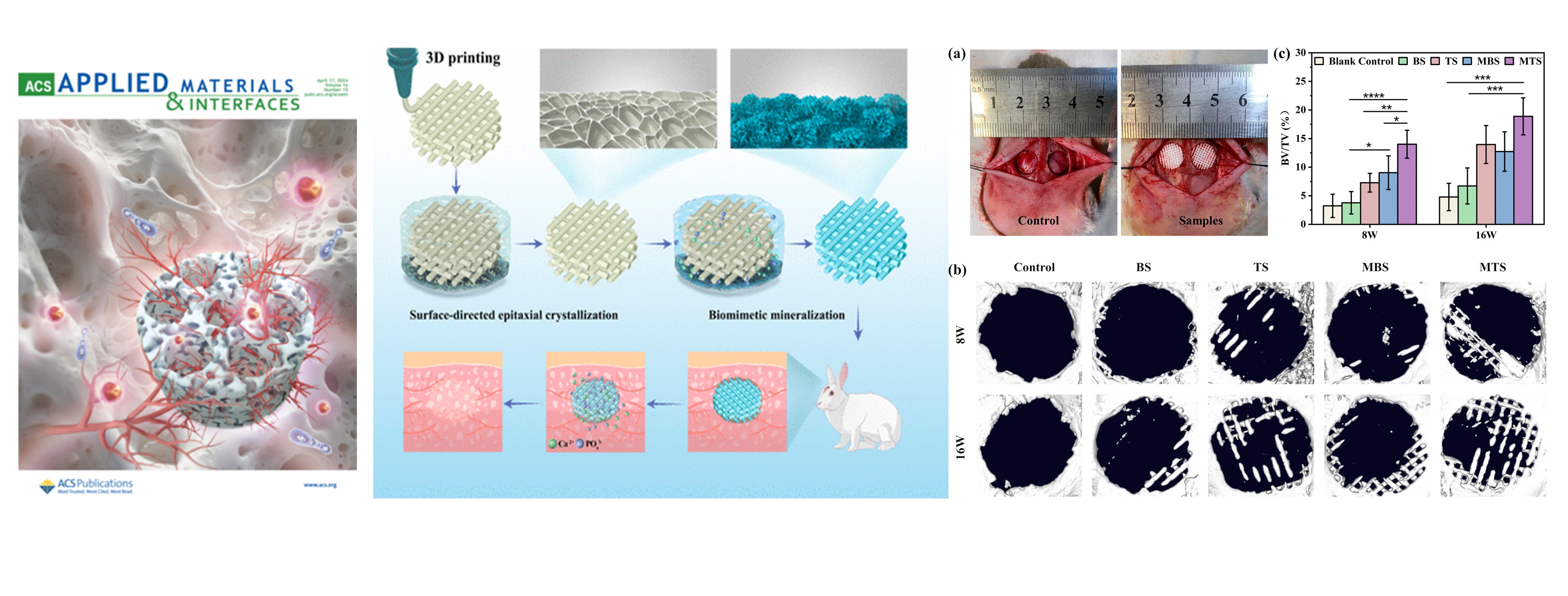 Biomimetic Mineralized 3D-Printed Polycaprolactone Scaffold Induced by Self-Adaptive Nanotopology to Accelerate Bone Regeneration.