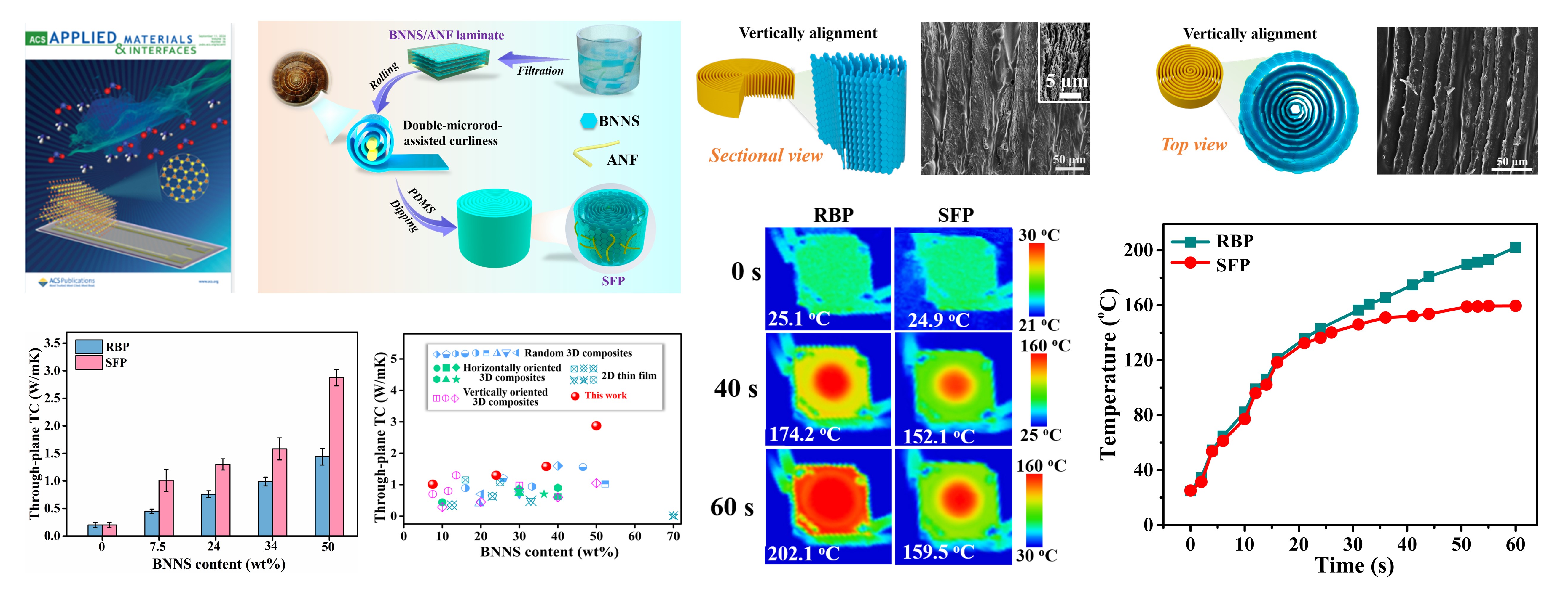 Constructing the Snail Shell-Like Framework in Thermal Interface Materials for Enhanced Through-Plane Thermal Conductivity